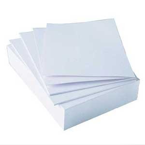 RSD Papers, BGPPL, Bilt Graphic Paper Private Limited